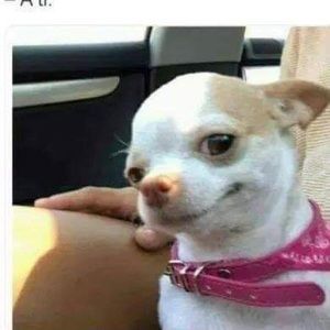 Meet your Posher, Bobby